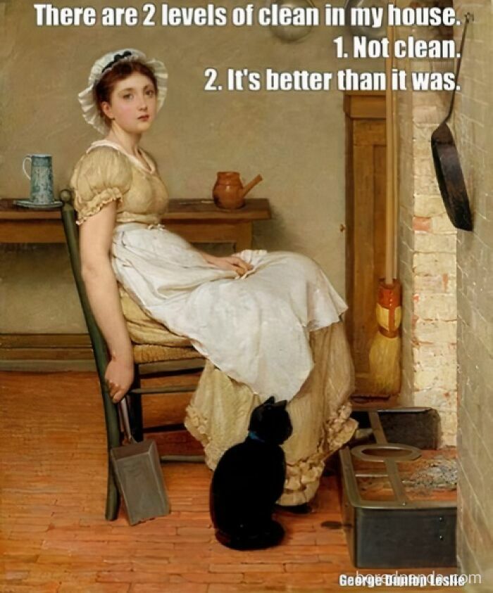Classical art painting with modern humor meme about two levels of clean in a house featuring a woman and a black cat.