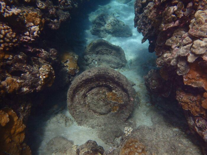 Underwater ocean scene showing a mysterious spiral-shaped rock formation surrounded by coral reefs.