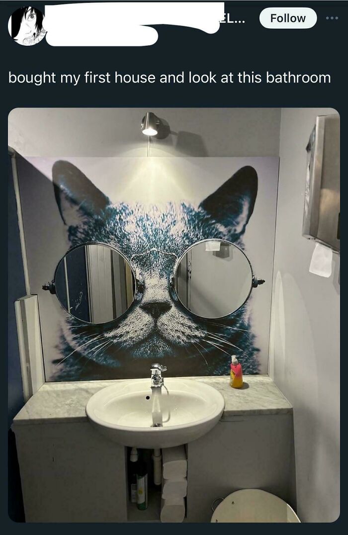 Bathroom sink with cat mural and round mirrors as eyes, showing ridiculous home decor and DIY humor.