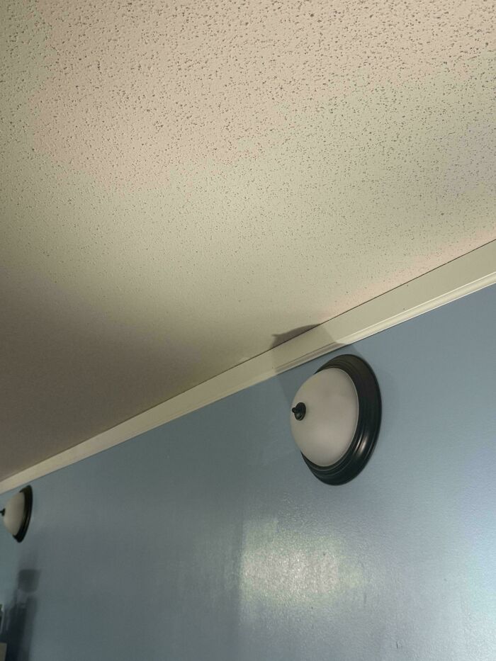 Light fixtures installed on a blue wall with textured ceiling, showcasing ridiculous home decor and DIY humor.