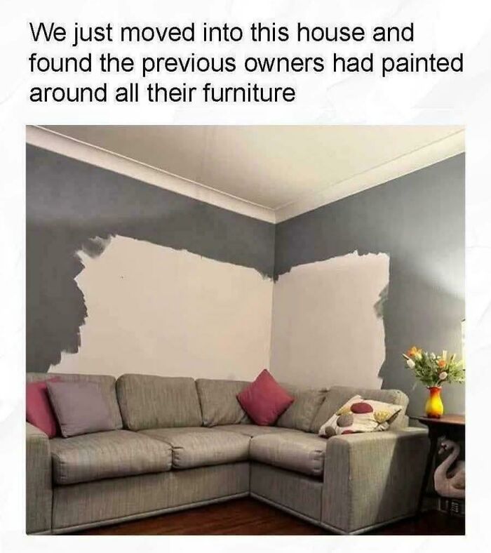 Living room with grey couch and paint patches on wall showing ridiculous home decor with funny sarcastic DIY commentary.