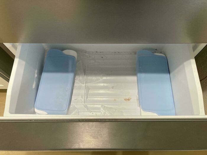 Empty freezer drawer with two ice packs left inside, illustrating selfish and stupid behavior not to work with others.