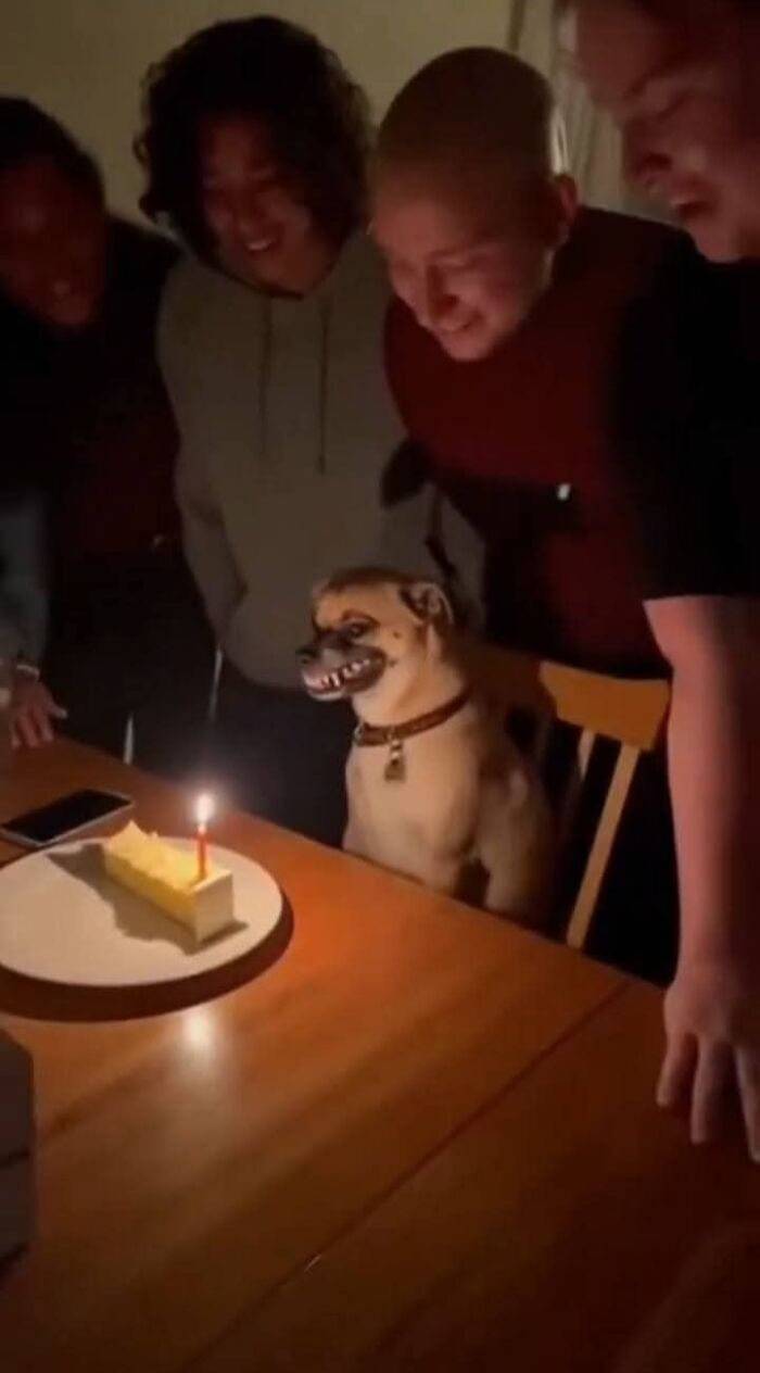 Group of people celebrating a dog's birthday with a cake and candle, showcasing beautiful bonds between humans and animals.