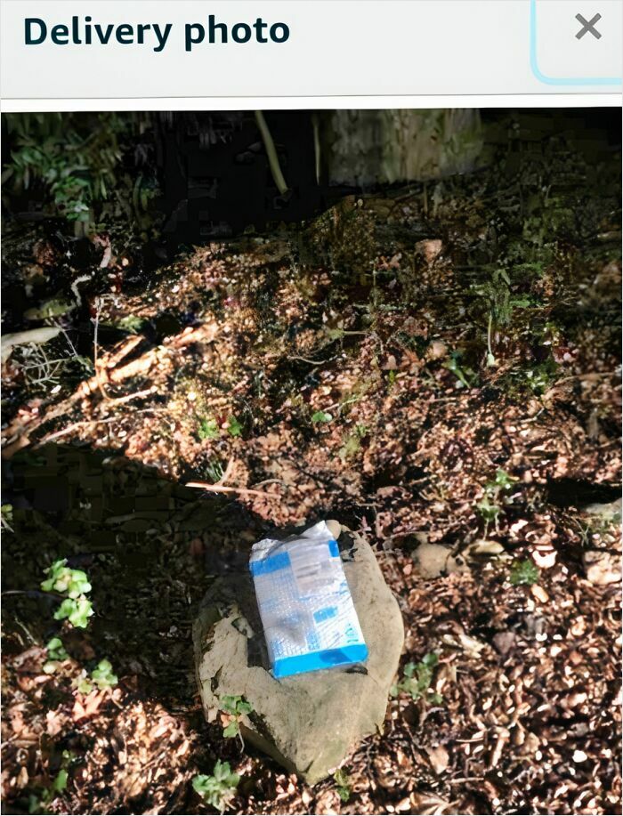 Small package left on a rock outdoors in a wooded area, a funny example of delivery confirmation pics from drivers.