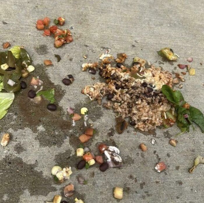 Spilled food mess on pavement as a funny delivery confirmation pic drivers sent out to customers.