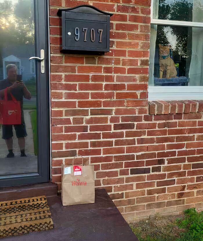 Delivery confirmation pic showing a package left on a doorstep with a pet dog visible through the window inside the house.