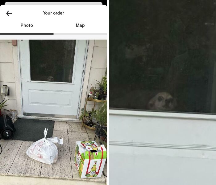 Delivery confirmation pic showing packages left outside a door with a small dog looking through the window.