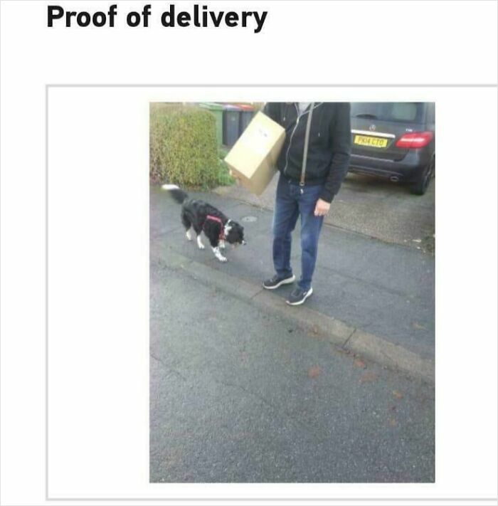 Delivery confirmation pic showing a driver holding a package next to a dog on a residential street.
