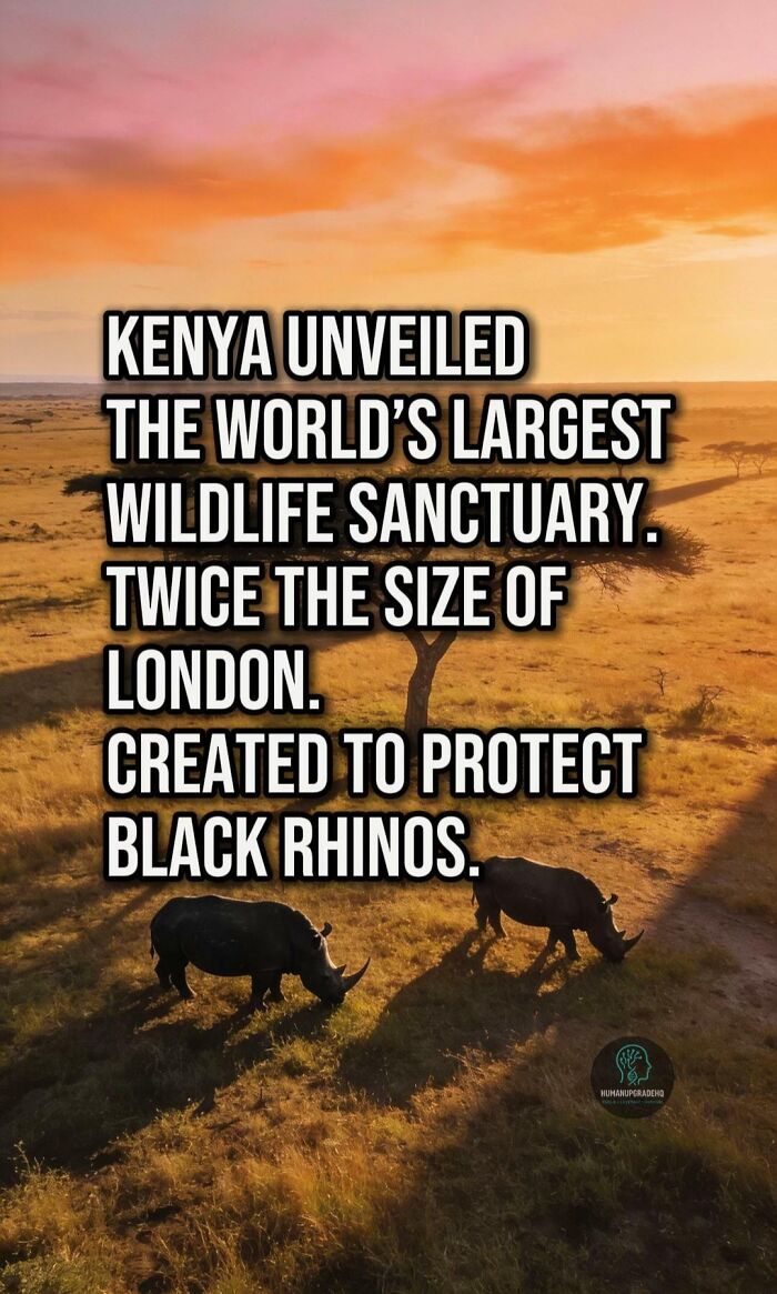 Kenya unveils world’s largest wildlife sanctuary to protect black rhinos, a positive recent good news event.