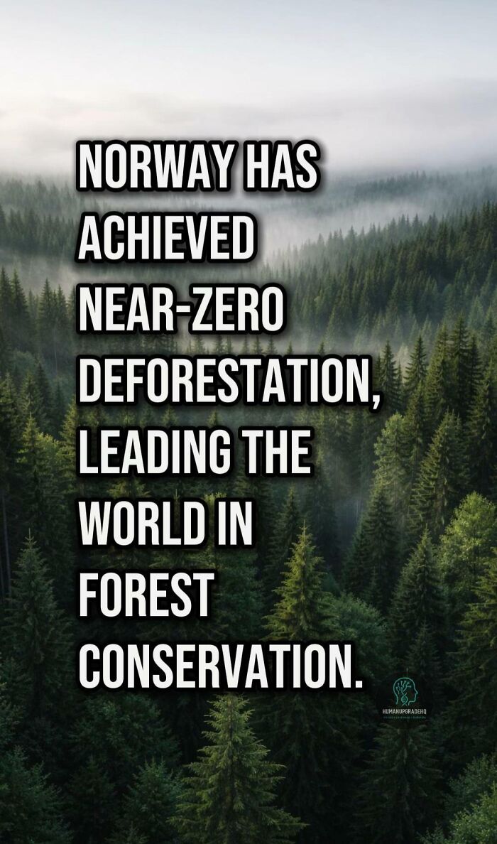 Norway leads in forest conservation with near-zero deforestation, a positive recent good thing to celebrate.