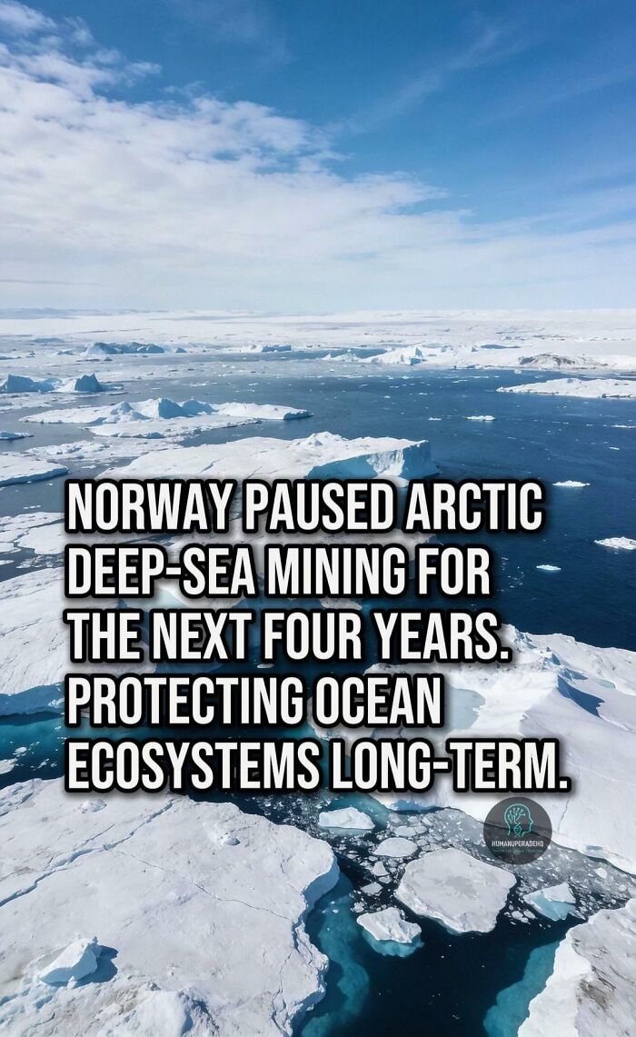 Arctic ocean with icebergs highlighting good things recently, including Norway pausing deep-sea mining to protect ecosystems.