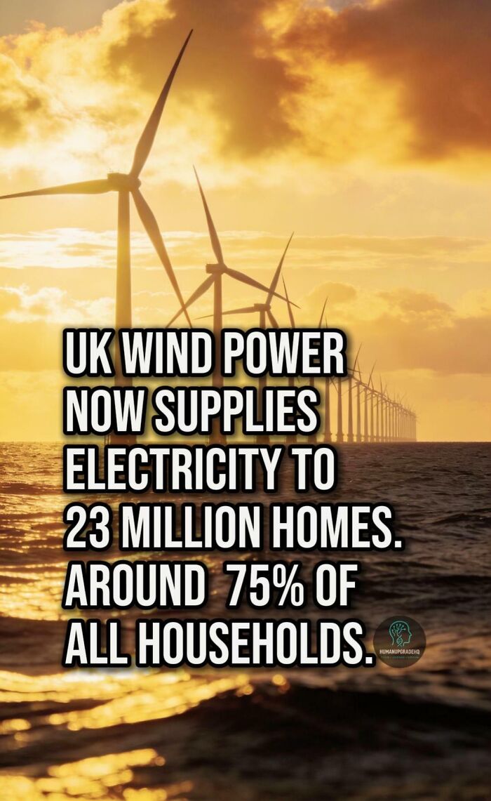 Offshore wind turbines at sunset representing UK wind power supplying electricity to millions of homes.