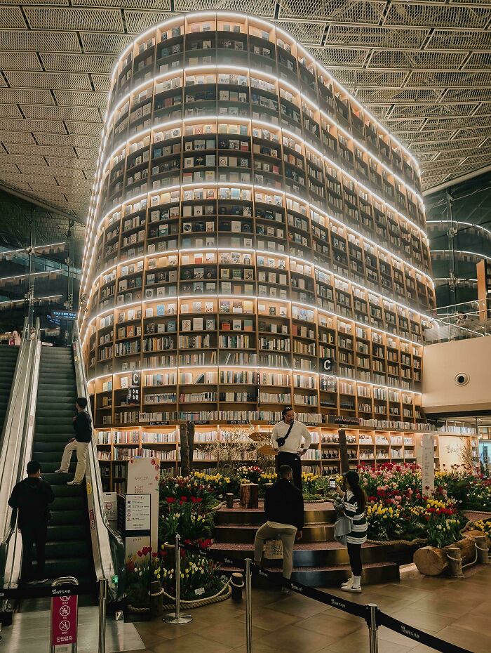 An unreal example of architecture: a towering, curved bookshelf structure illuminated by lights, with escalators and flowers.