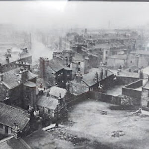 frankiebarrett_1 avatar