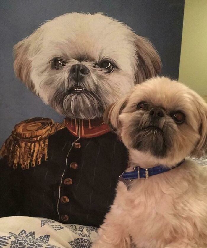 Small dog sitting beside a painting of itself dressed in a humorous military uniform, perfect for funny Valentine’s Day gifts.