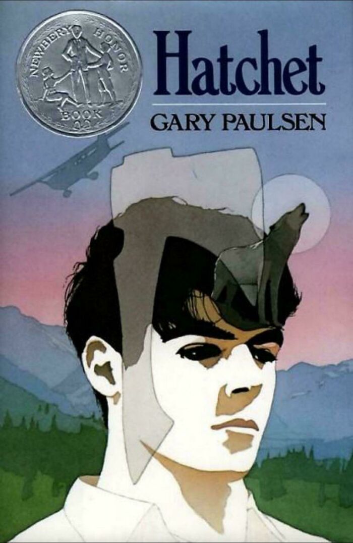 Book cover design of Hatchet by Gary Paulsen featuring a boy's face, wildlife, and an aircraft in a natural setting.