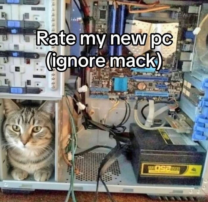 Tabby cat sitting inside an open PC case with text asking to rate new PC, a popular cat memes theme.
