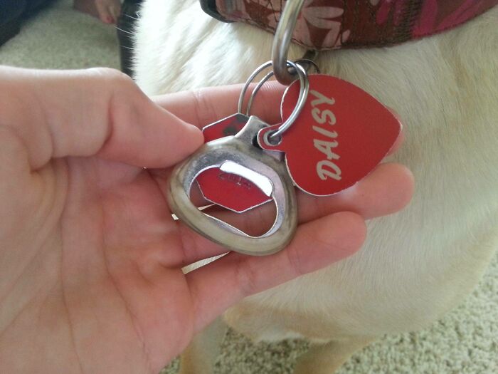 Hand holding a dog's heart-shaped tag with name Daisy, illustrating a lazy moment for people who take a day off.