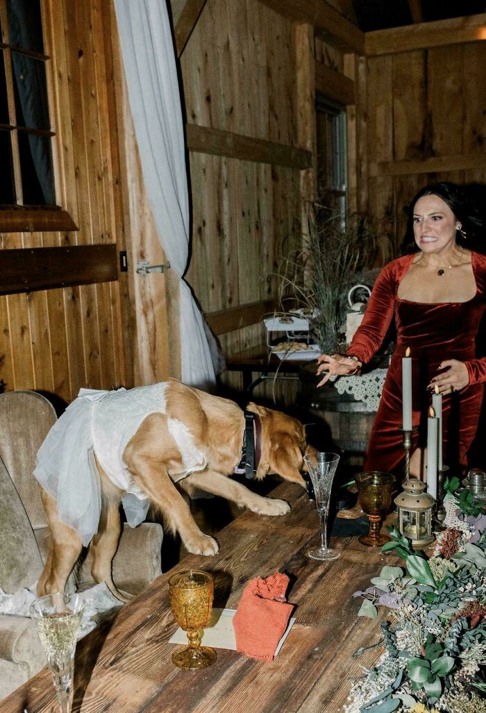 “This Is Not What We Rehearsed”