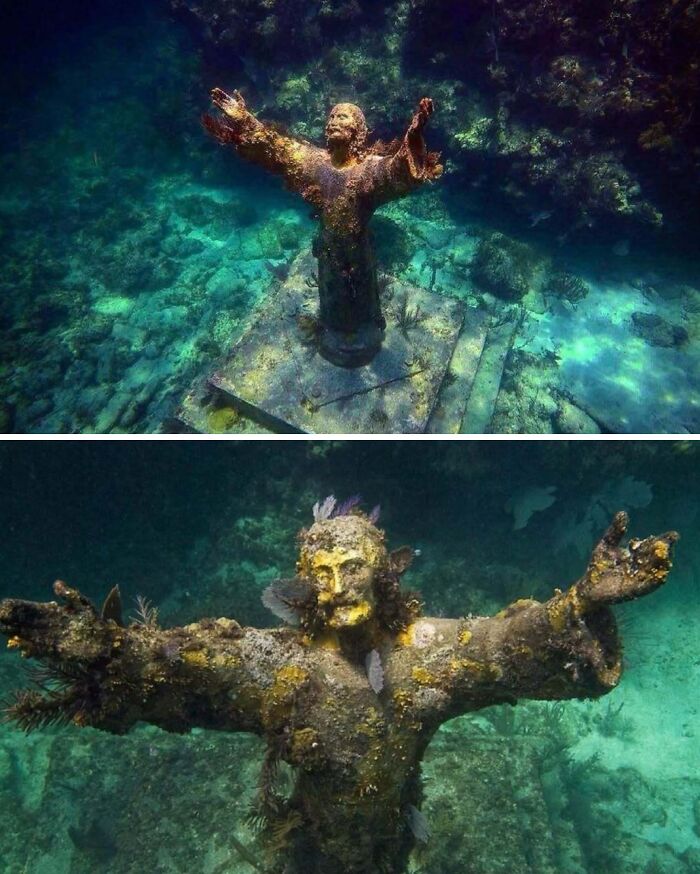 Underwater statue covered in marine growth, part of unexpected ocean photos capturing eerie sea scenes.