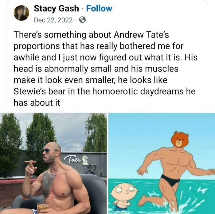 Screenshot of a social media post with unhinged sentences comparing Andrew Tate's proportions to a cartoon bear, sparking speechless reactions.