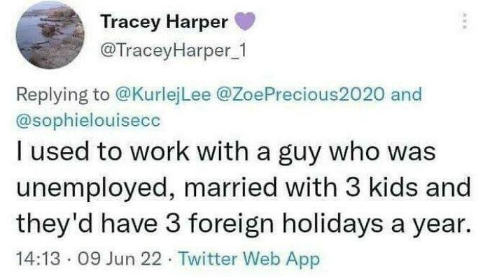Tweet screenshot showing a surprising sentence about someone unemployed but taking multiple foreign holidays a year.
