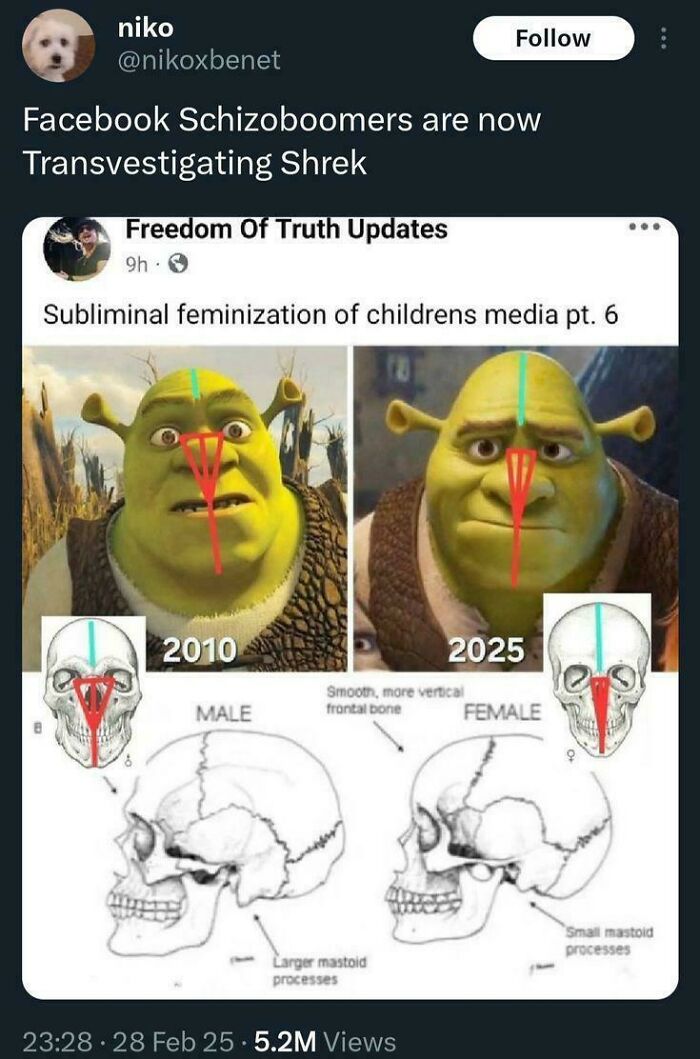 Meme comparing Shrek's feminization in children's media with skull diagrams, illustrating unhinged sentences from social media.