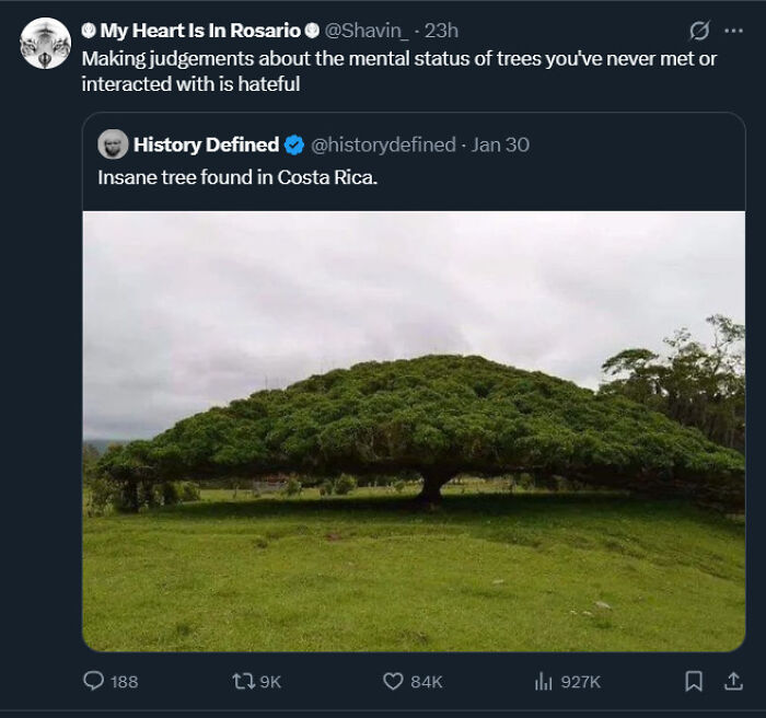 Unhinged sentence about an insane tree found in Costa Rica, sparking speechless reactions online.