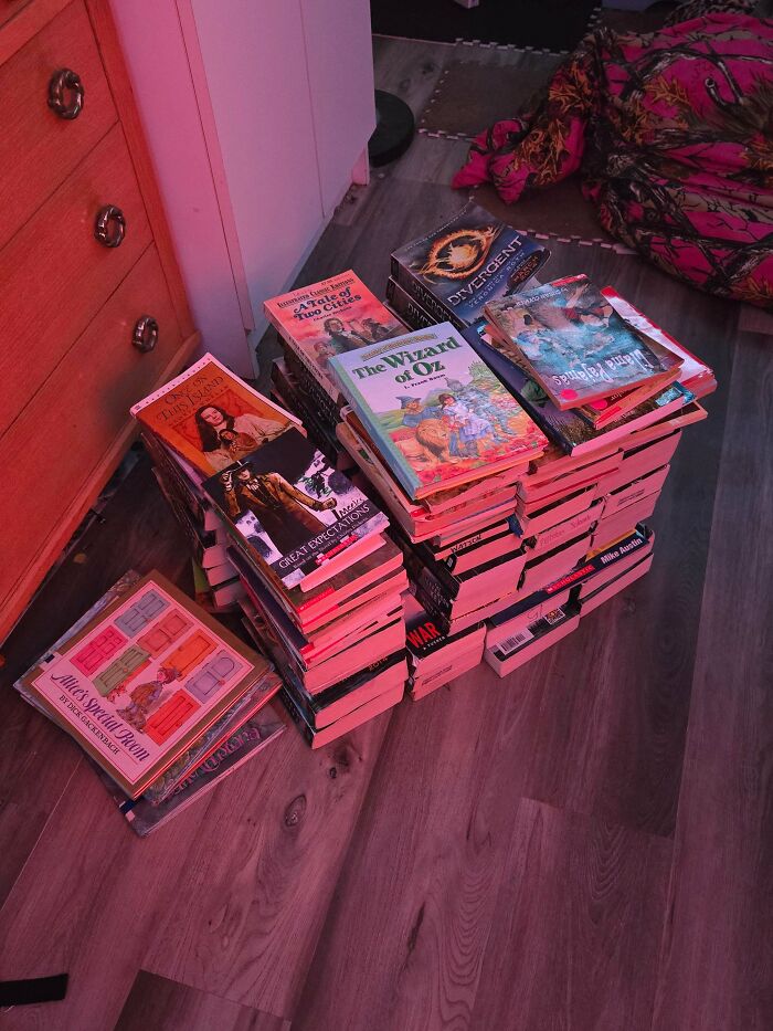 Stacks of various books on a wooden floor, a significant haul from a successful dumpster diving adventure.