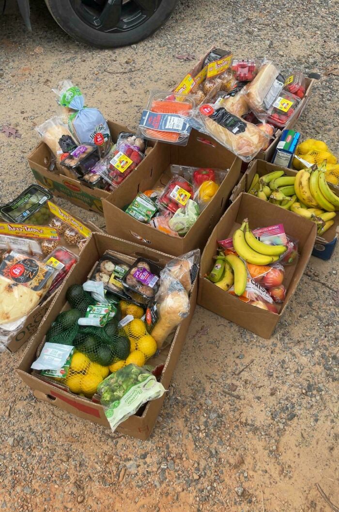 A pile of cardboard boxes filled with fresh produce, bread, and packaged food, demonstrating the luck of dumpster diving.