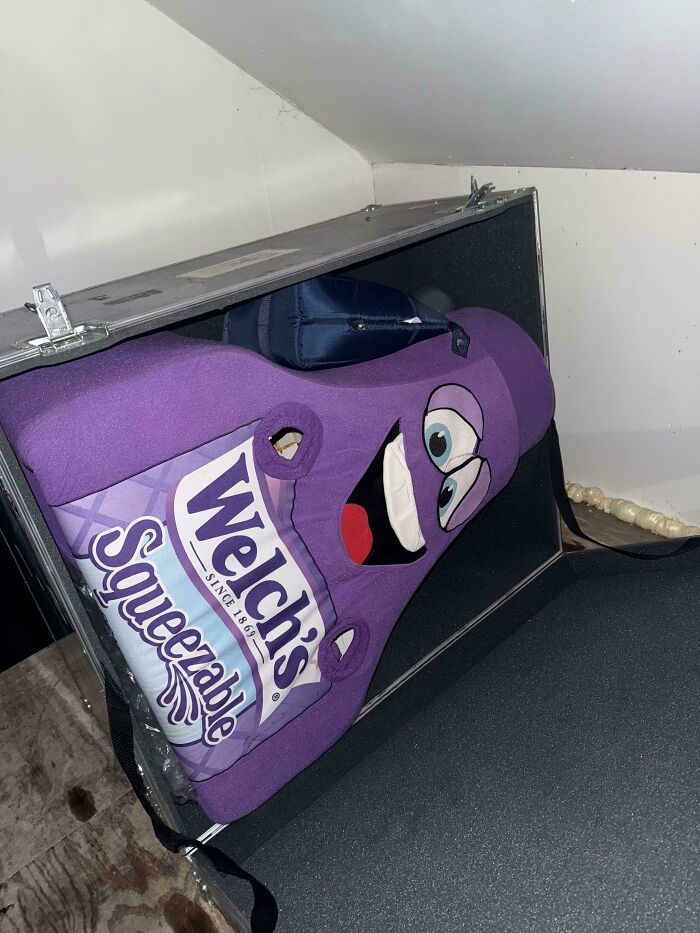 A large purple Welch's Squeezable grape jelly mascot costume, a unique and surprising find from dumpster diving, resting in an open case.