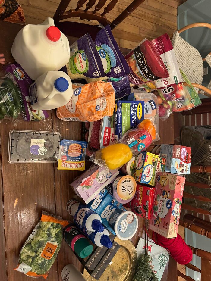 A diverse collection of groceries including milk, produce, and packaged goods, all acquired through lucky dumpster diving.