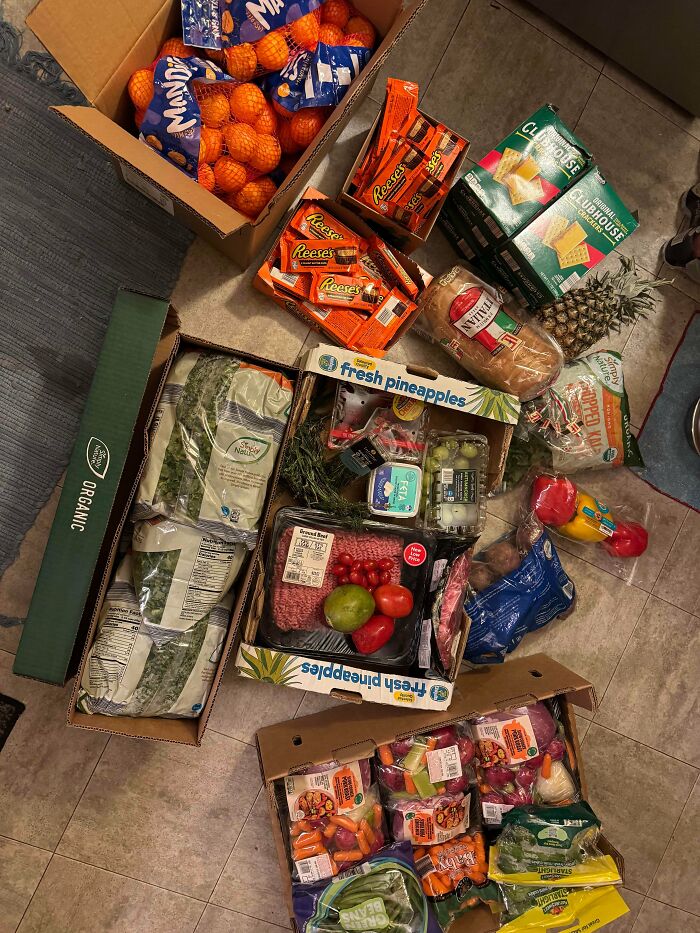 An abundance of groceries, including fruit, meat, and vegetables, acquired through dumpster diving.