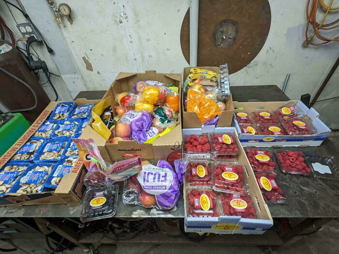 Boxes filled with fresh produce like mushrooms, raspberries, and apples, a lucky find from dumpster diving.