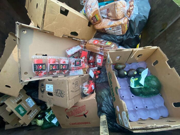 A dumpster filled with discarded bread, produce like avocados and strawberries, a lucky find while dumpster diving.