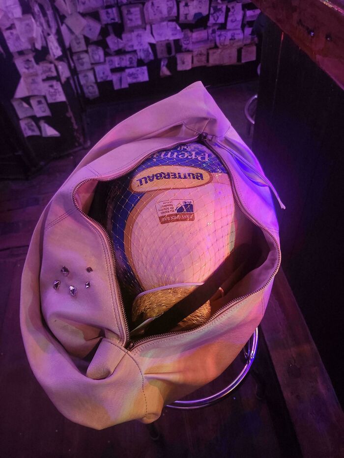 Mildly interesting pictures of a Butterball turkey inside a beige purse, under dim lighting.