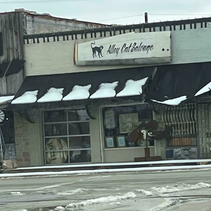 Mildly interesting picture of the Alley Cat Salvage shop with snow accumulating on its awning.