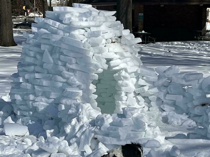 Mildly interesting pictures: A unique, block-stacked ice fort stands in a snowy park setting.
