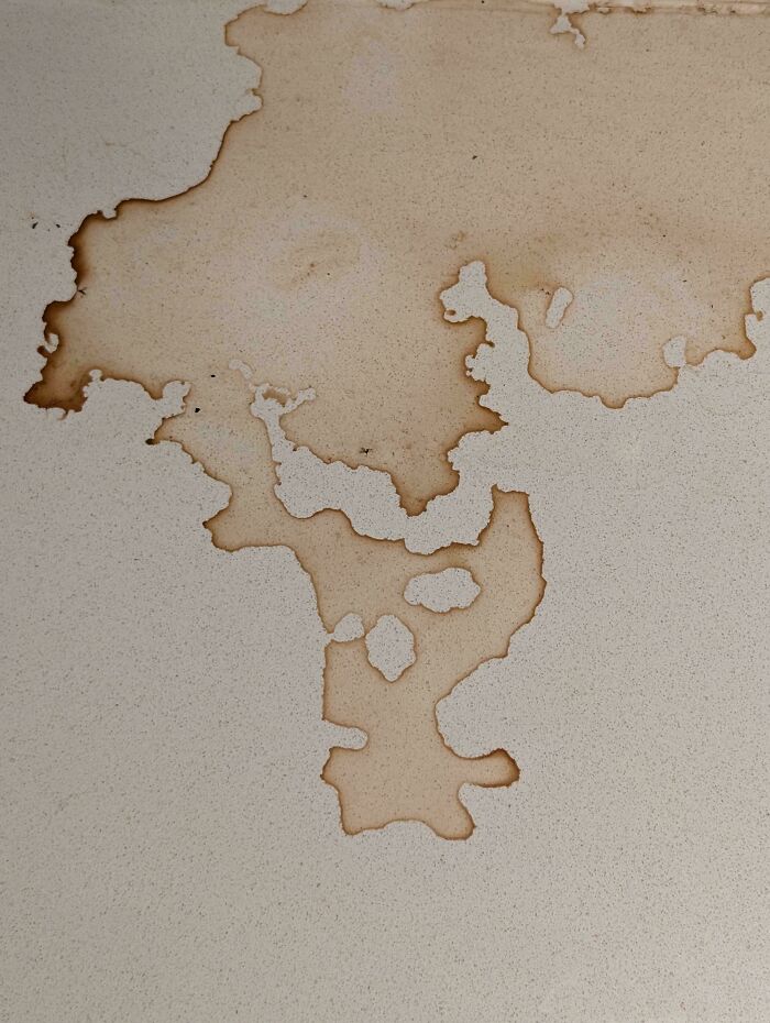 A large, irregular brown water stain on a light-colored surface, making a mildly interesting picture.