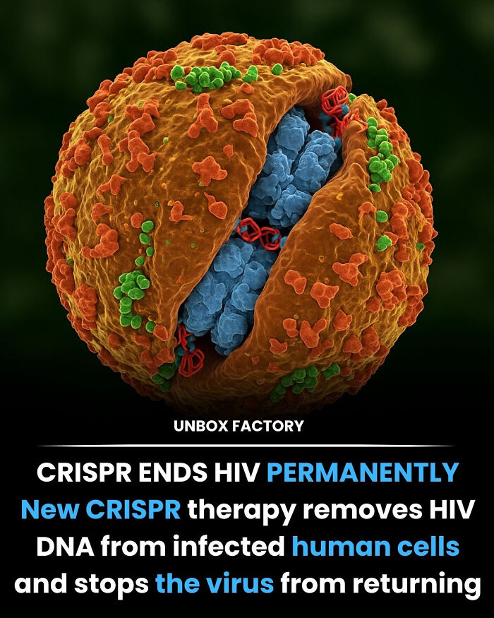 Close-up 3D illustration of HIV virus structure highlighting CRISPR gene-editing potential to permanently stop the virus.