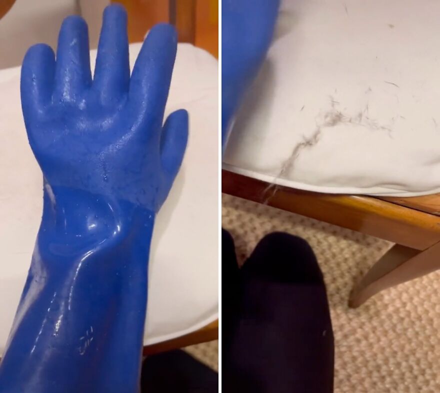 Blue rubber glove used as a genius hack for removing pet hair from fabric, showcasing everyday items' new life.