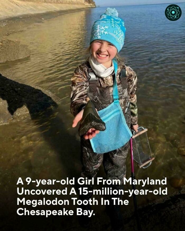 Amazing photo of a girl holding a megalodon tooth, teaching something new about history.