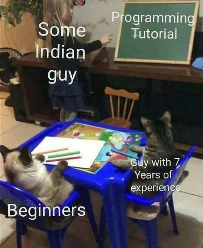 Funny programming meme showing cats as beginners and a girl labeled as some Indian guy teaching a programming tutorial.