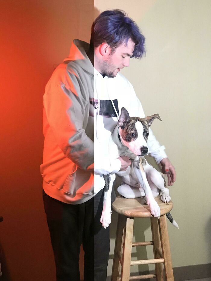 Man holding a dog on a stool with creative lighting showing a split effect in a way better photo than expected.