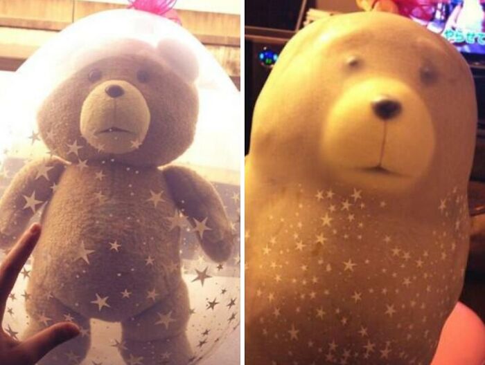 Funny Valentine’s Day gift of a teddy bear inside a balloon, showing a humorous and unique way to celebrate love.