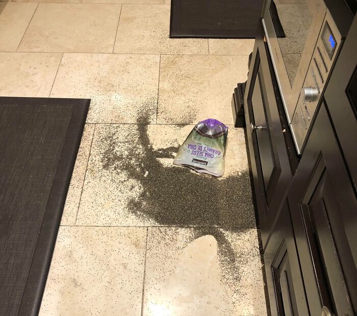 My Mom Was Just Finishing Cleaning The Kitchen And Then Spilled A Bag Of Chia Seeds On The Ground