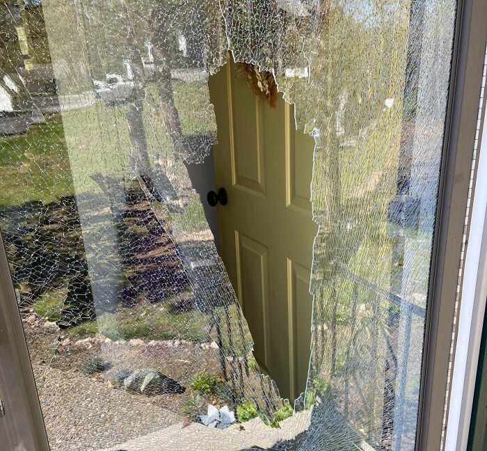 Mowing The Lawn For The First Time This Season And The Mower Picked Up A Rock And Shot It Through My Front Door