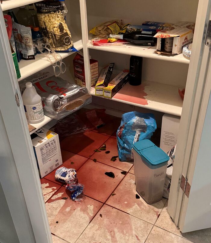 Well, That’s What I Get For Trying To Tidy Up My Pantry
