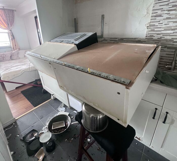 Hope Your Thursday Is Going Better