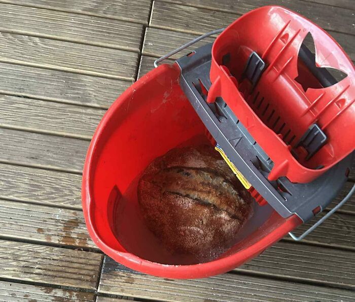 Dropped My Freshly Baked Sourdough Loaf In A Cleaning Bucket